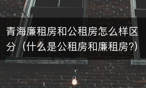 青海廉租房和公租房怎么样区分（什么是公租房和廉租房?）
