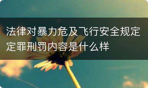 法律对暴力危及飞行安全规定定罪刑罚内容是什么样