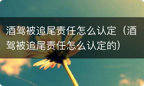 酒驾被追尾责任怎么认定（酒驾被追尾责任怎么认定的）