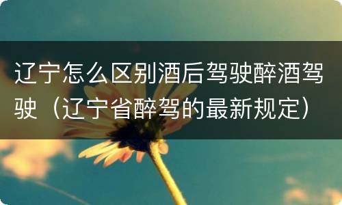 辽宁怎么区别酒后驾驶醉酒驾驶（辽宁省醉驾的最新规定）