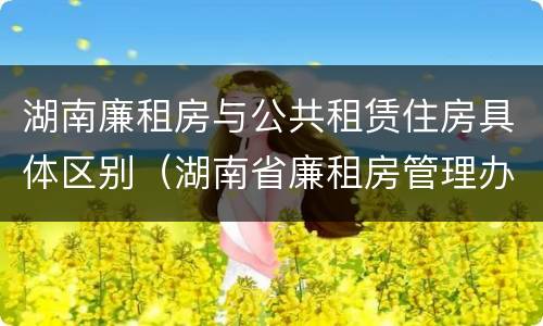 湖南廉租房与公共租赁住房具体区别（湖南省廉租房管理办法）