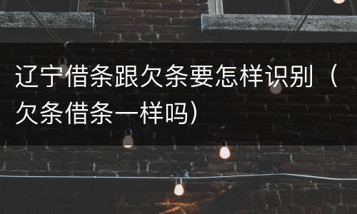 辽宁借条跟欠条要怎样识别（欠条借条一样吗）