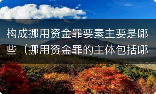 构成挪用资金罪要素主要是哪些（挪用资金罪的主体包括哪些）