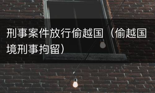 刑事案件放行偷越国（偷越国境刑事拘留）