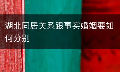 湖北同居关系跟事实婚姻要如何分别