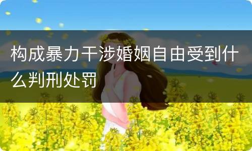 构成暴力干涉婚姻自由受到什么判刑处罚