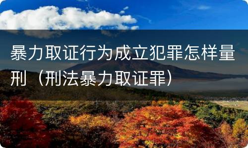 暴力取证行为成立犯罪怎样量刑（刑法暴力取证罪）