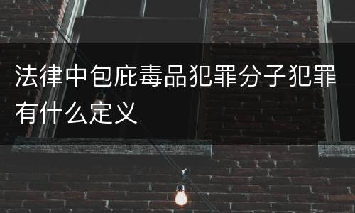 法律中包庇毒品犯罪分子犯罪有什么定义