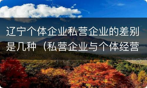 辽宁个体企业私营企业的差别是几种（私营企业与个体经营企业的区别）
