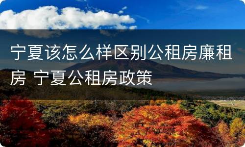 宁夏该怎么样区别公租房廉租房 宁夏公租房政策