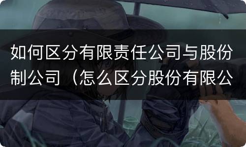 如何区分有限责任公司与股份制公司（怎么区分股份有限公司和有限责任公司）