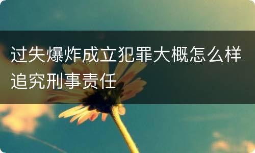 过失爆炸成立犯罪大概怎么样追究刑事责任