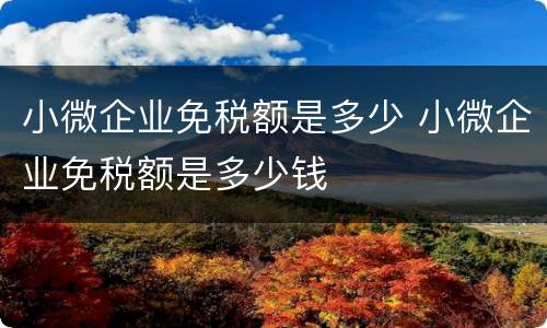 小微企业免税额是多少 小微企业免税额是多少钱