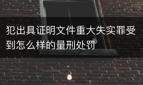 犯出具证明文件重大失实罪受到怎么样的量刑处罚