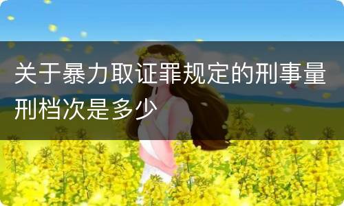 关于暴力取证罪规定的刑事量刑档次是多少