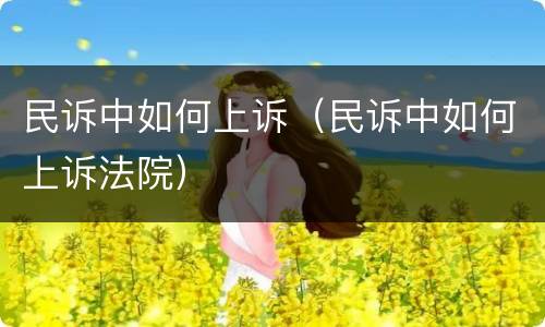 民诉中如何上诉（民诉中如何上诉法院）