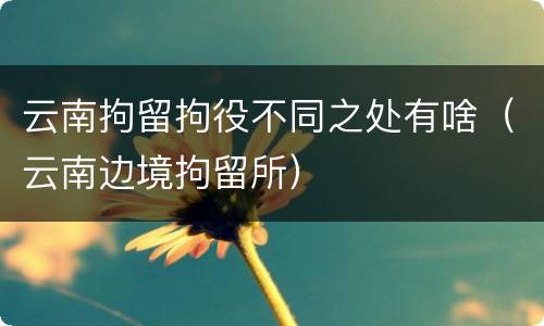 云南拘留拘役不同之处有啥（云南边境拘留所）