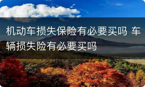 机动车损失保险有必要买吗 车辆损失险有必要买吗