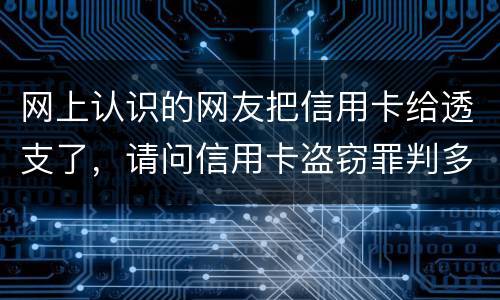 网上认识的网友把信用卡给透支了，请问信用卡盗窃罪判多少年