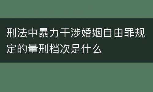 刑法中暴力干涉婚姻自由罪规定的量刑档次是什么