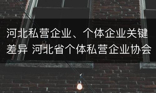 河北私营企业、个体企业关键差异 河北省个体私营企业协会
