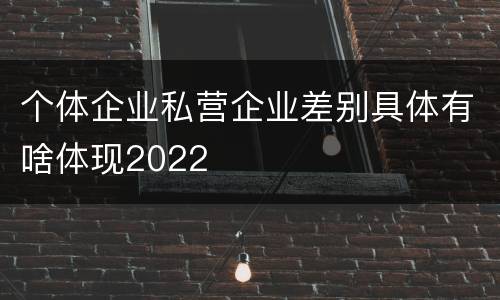 个体企业私营企业差别具体有啥体现2022