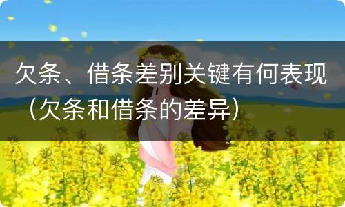 欠条、借条差别关键有何表现（欠条和借条的差异）