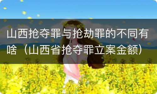 山西抢夺罪与抢劫罪的不同有啥（山西省抢夺罪立案金额）