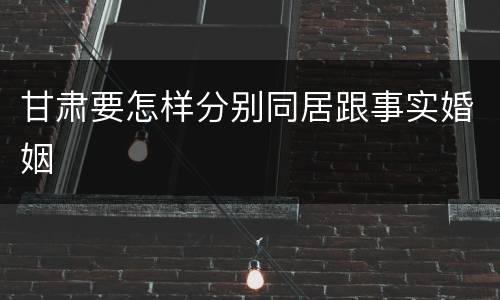 甘肃要怎样分别同居跟事实婚姻