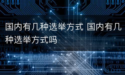 国内有几种选举方式 国内有几种选举方式吗