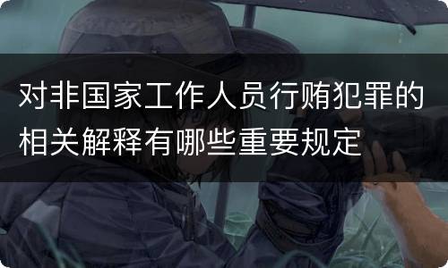 对非国家工作人员行贿犯罪的相关解释有哪些重要规定