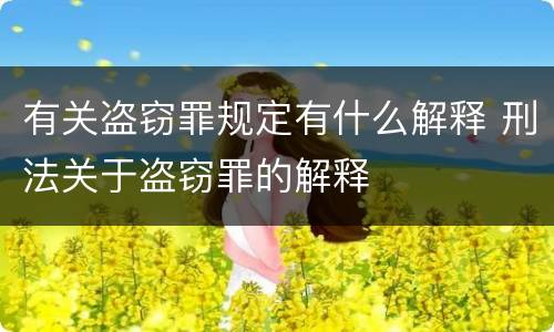 有关盗窃罪规定有什么解释 刑法关于盗窃罪的解释
