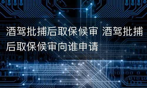 酒驾批捕后取保候审 酒驾批捕后取保候审向谁申请