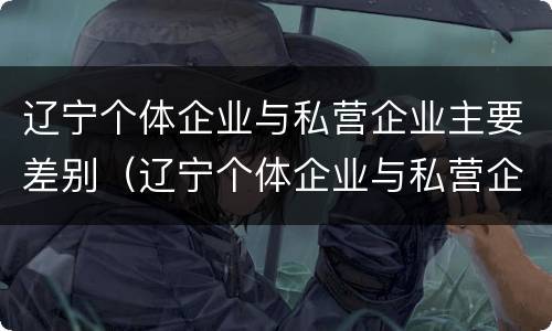 辽宁个体企业与私营企业主要差别（辽宁个体企业与私营企业主要差别有哪些）