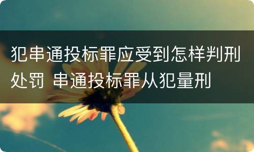 犯串通投标罪应受到怎样判刑处罚 串通投标罪从犯量刑