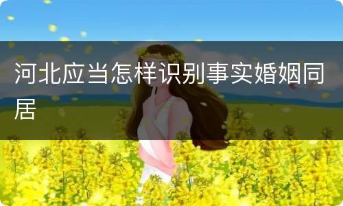河北应当怎样识别事实婚姻同居