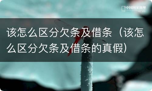该怎么区分欠条及借条（该怎么区分欠条及借条的真假）