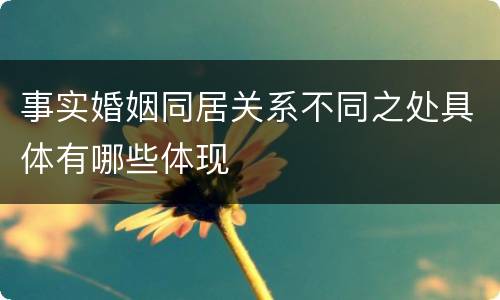事实婚姻同居关系不同之处具体有哪些体现