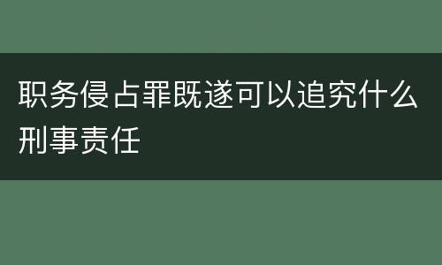 职务侵占罪既遂可以追究什么刑事责任