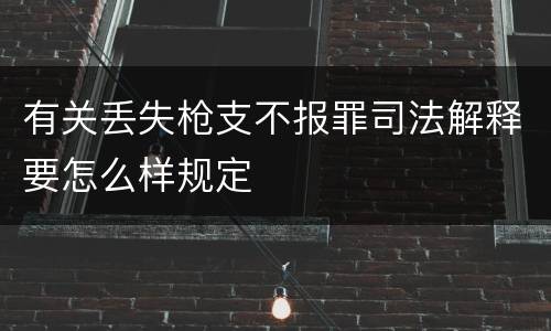 有关丢失枪支不报罪司法解释要怎么样规定