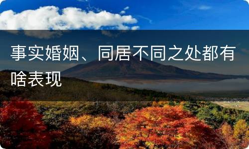 事实婚姻、同居不同之处都有啥表现