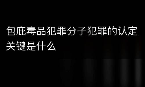 包庇毒品犯罪分子犯罪的认定关键是什么
