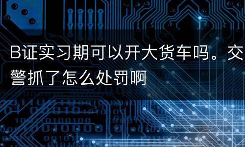 B证实习期可以开大货车吗。交警抓了怎么处罚啊