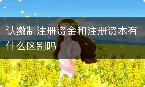 认缴制注册资金和注册资本有什么区别吗