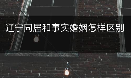 辽宁同居和事实婚姻怎样区别