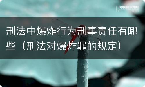 刑法中爆炸行为刑事责任有哪些（刑法对爆炸罪的规定）