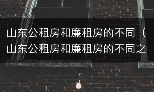 山东公租房和廉租房的不同（山东公租房和廉租房的不同之处）