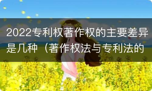 2022专利权著作权的主要差异是几种（著作权法与专利法的区别）