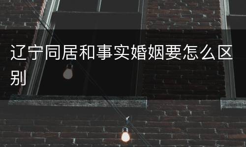 辽宁同居和事实婚姻要怎么区别