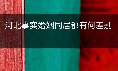 河北事实婚姻同居都有何差别